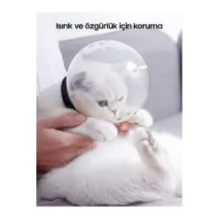 Kedi Bakım Ve Koruma Küresi